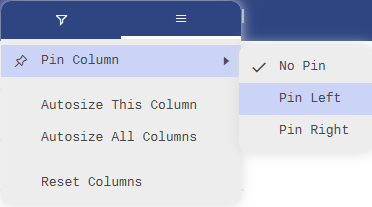 CTM column option